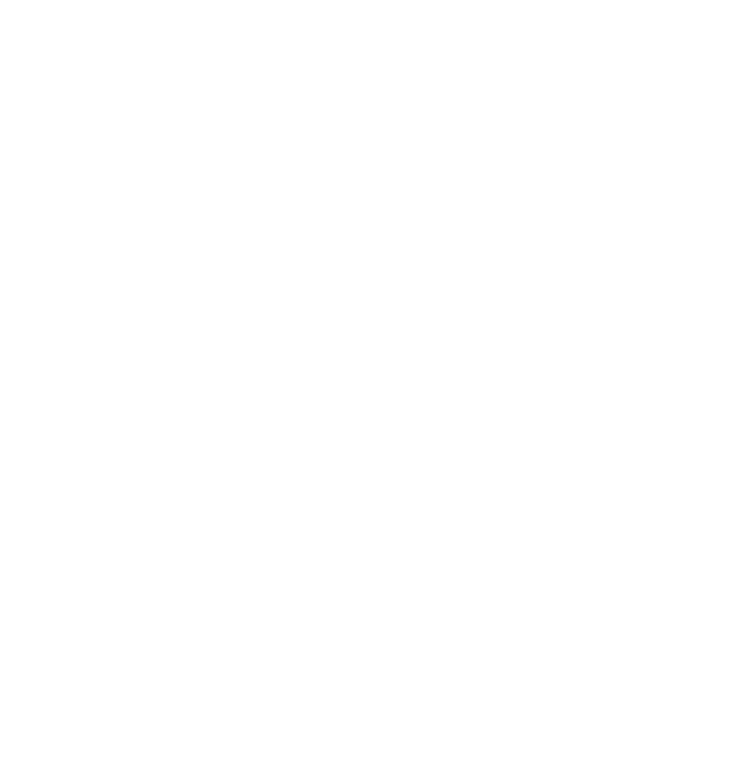 Parking Guidance Systems Logo